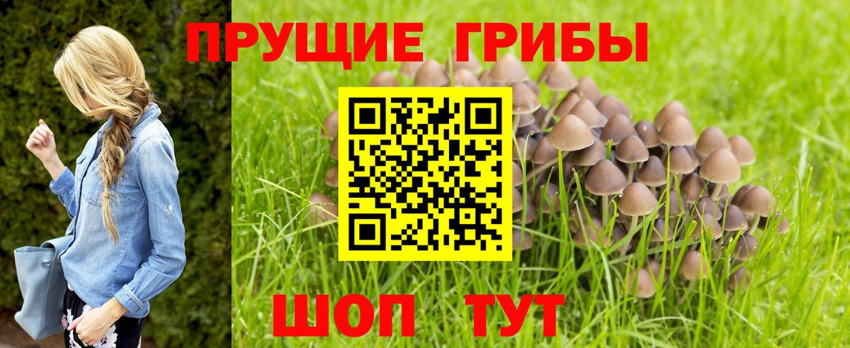 Семёнов  Галлюциногенные грибы прущие грибы  Вход с VPN 